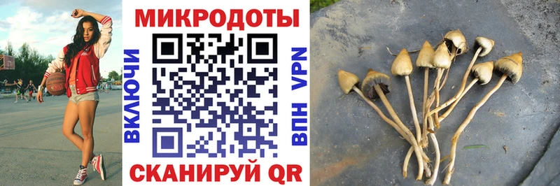 Псилоцибиновые грибы Psilocybine cubensis Макарьев